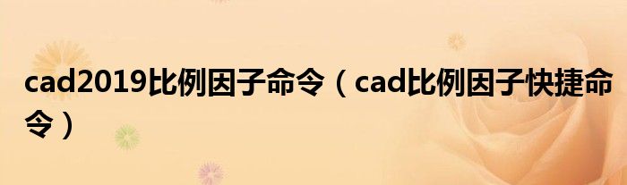 cad2019比例因子命令（cad比例因子快捷命令）