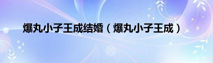 爆丸小子王成结婚(爆丸小子王成)