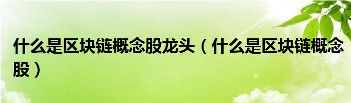 什么是区块链概念股龙头(什么是区块链概念股)