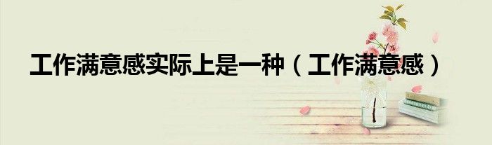 工作满意感实际上是一种(工作满意感)