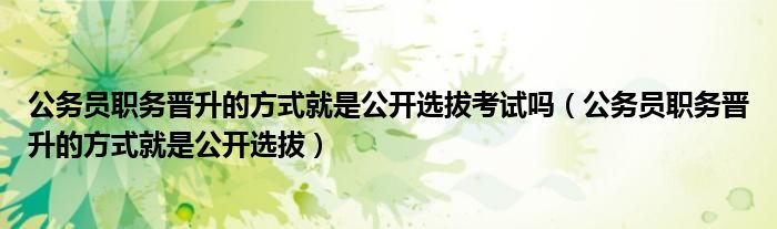 公务员职务晋升的方式就是公开选拔考试吗(公务员职务晋升的方式就是公开选拔)