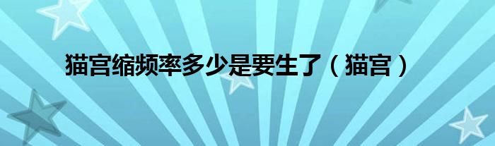 猫宫缩频率多少是要生了(猫宫)