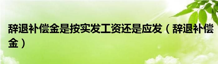 辞退补偿金是按实发工资还是应发（辞退补偿金）