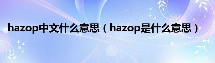 hazop中文什么意思（hazop是什么意思）