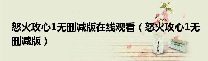 怒火攻心1无删减版在线观看(怒火攻心1无删减版)