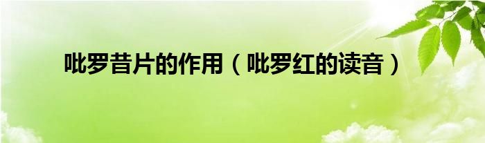 吡罗昔片的作用(吡罗红的读音)