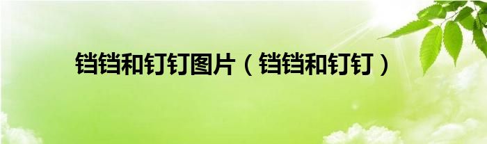 铛铛和钉钉图片(铛铛和钉钉)