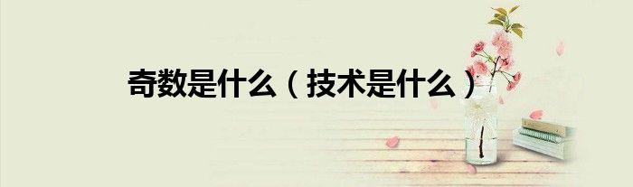 奇数是什么(技术是什么)