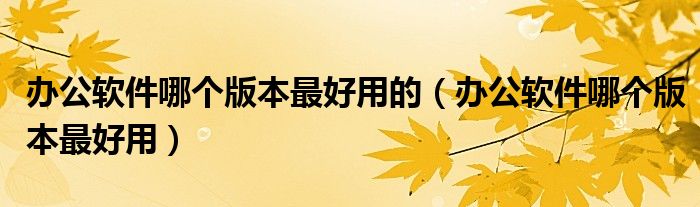 办公软件哪个版本最好用的(办公软件哪个版本最好用)