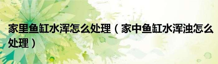 家里鱼缸水浑怎么处理(家中鱼缸水浑浊怎么处理)