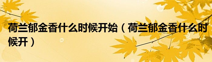 荷兰郁金香什么时候开始(荷兰郁金香什么时候开)