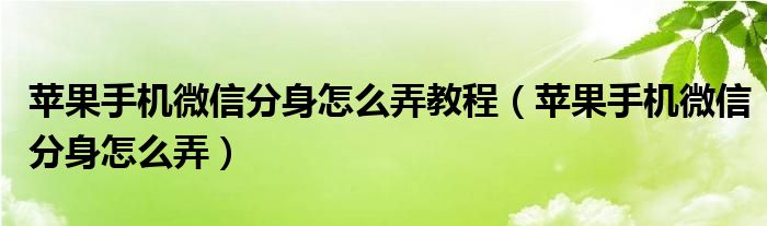 苹果手机微信分身怎么弄教程（苹果手机微信分身怎么弄）