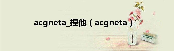 acgneta_捏他（acgneta）