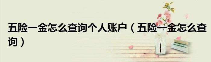 五险一金怎么查询个人账户(五险一金怎么查询)