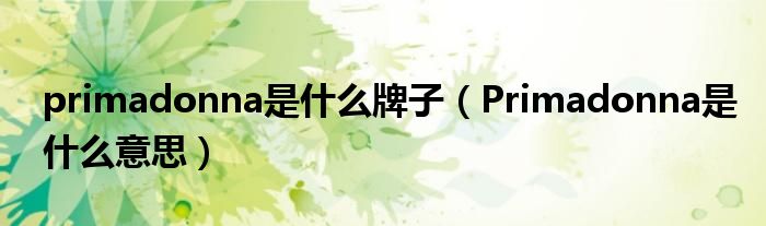 primadonna是什么牌子(Primadonna是什么意思)