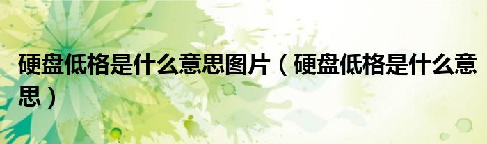 硬盘低格是什么意思图片(硬盘低格是什么意思)