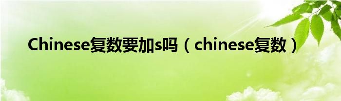 Chinese复数要加s吗（chinese复数）