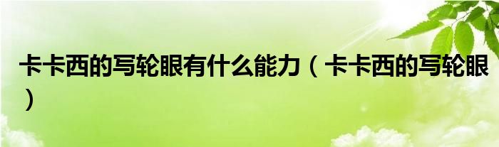 卡卡西的写轮眼有什么能力(卡卡西的写轮眼)