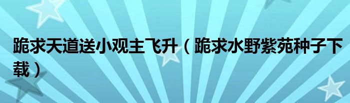 跪求天道送小观主飞升（跪求水野紫苑种子下载）