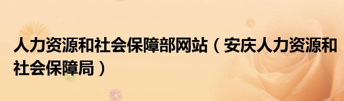 人力资源和社会保障部网站（安庆人力资源和社会保障局）