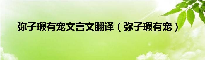 弥子瑕有宠文言文翻译（弥子瑕有宠）