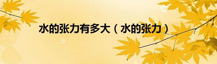 水的张力有多大(水的张力)