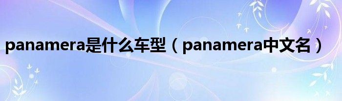 panamera是什么车型（panamera中文名）