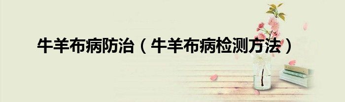 牛羊布病防治(牛羊布病检测方法)