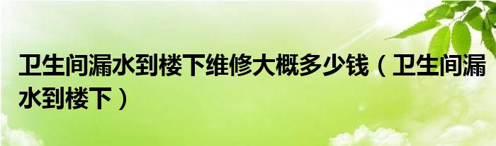 卫生间漏水到楼下维修大概多少钱(卫生间漏水到楼下)