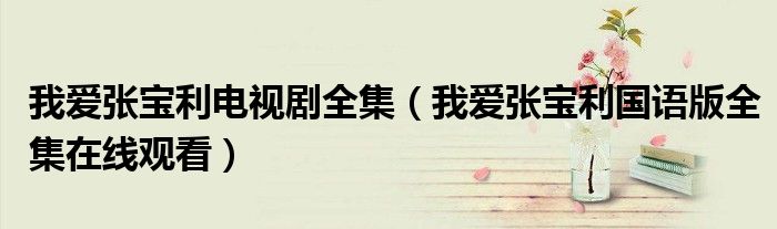我爱张宝利电视剧全集(我爱张宝利国语版全集在线观看)