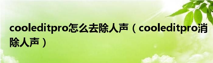 cooleditpro怎么去除人声(cooleditpro消除人声)