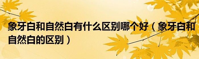 象牙白和自然白有什么区别哪个好(象牙白和自然白的区别)
