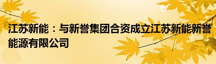 江苏新能：与新誉集团合资成立江苏新能新誉能源有限公司