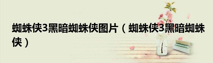蜘蛛侠3黑暗蜘蛛侠图片(蜘蛛侠3黑暗蜘蛛侠)