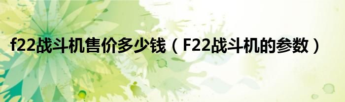 f22战斗机售价多少钱(F22战斗机的参数)
