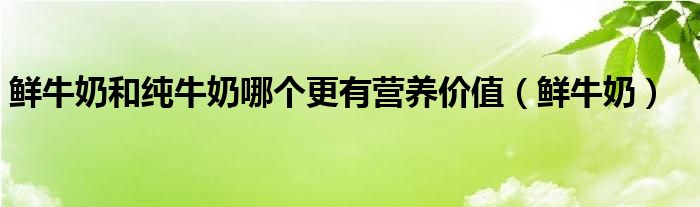 鲜牛奶和纯牛奶哪个更有营养价值(鲜牛奶)