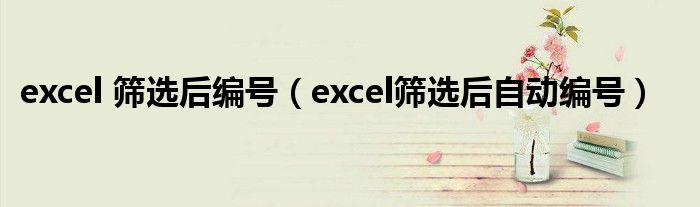 excel 筛选后编号(excel筛选后自动编号)