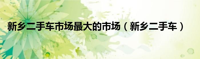 新乡二手车市场最大的市场(新乡二手车)