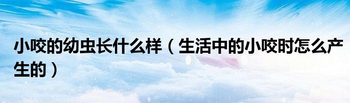 小咬的幼虫长什么样(生活中的小咬时怎么产生的)