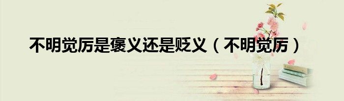 不明觉厉是褒义还是贬义(不明觉厉)