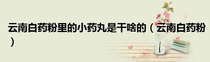 云南白药粉里的小药丸是干啥的(云南白药粉)