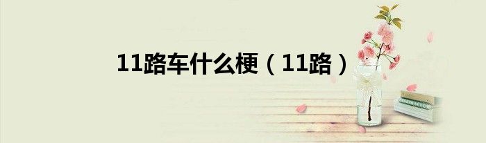 11路车什么梗(11路)