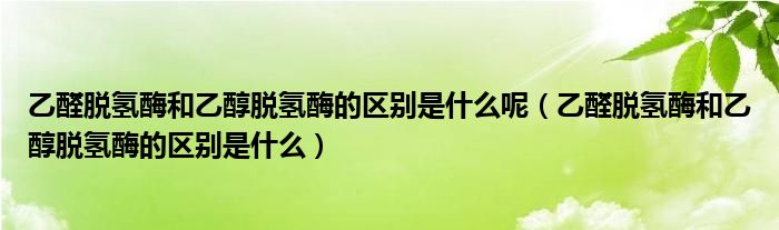 乙醛脱氢酶和乙醇脱氢酶的区别是什么呢（乙醛脱氢酶和乙醇脱氢酶的区别是什么）