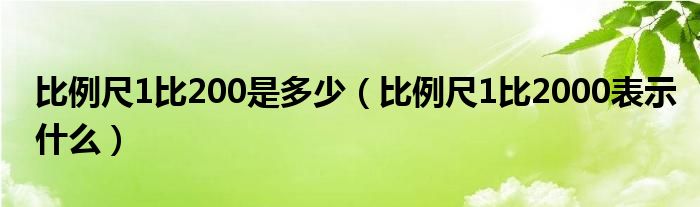 比例尺1比200是多少(比例尺1比2000表示什么)