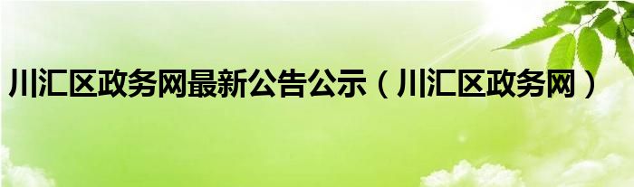 川汇区政务网最新公告公示(川汇区政务网)