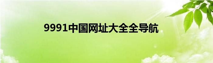 9991中国网址大全全导航