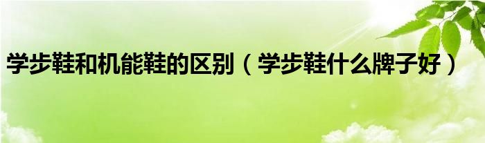 学步鞋和机能鞋的区别(学步鞋什么牌子好)