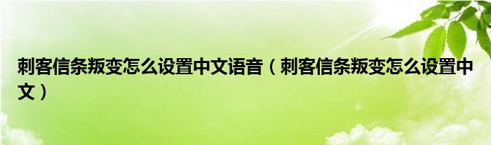 刺客信条叛变怎么设置中文语音(刺客信条叛变怎么设置中文)