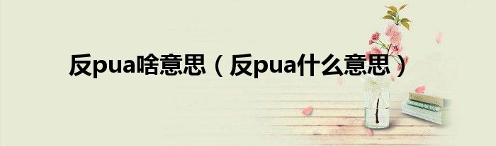 反pua啥意思(反pua什么意思)