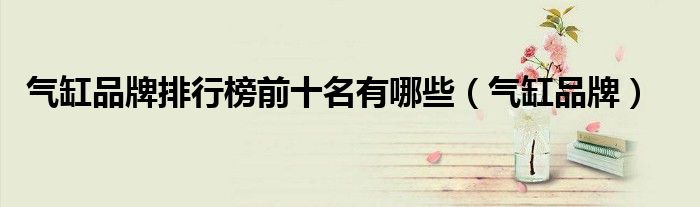 气缸品牌排行榜前十名有哪些(气缸品牌)